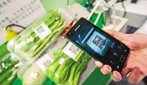 从园区菜篮子到科技篮 工业互联网赋能农业生产的数字化转型